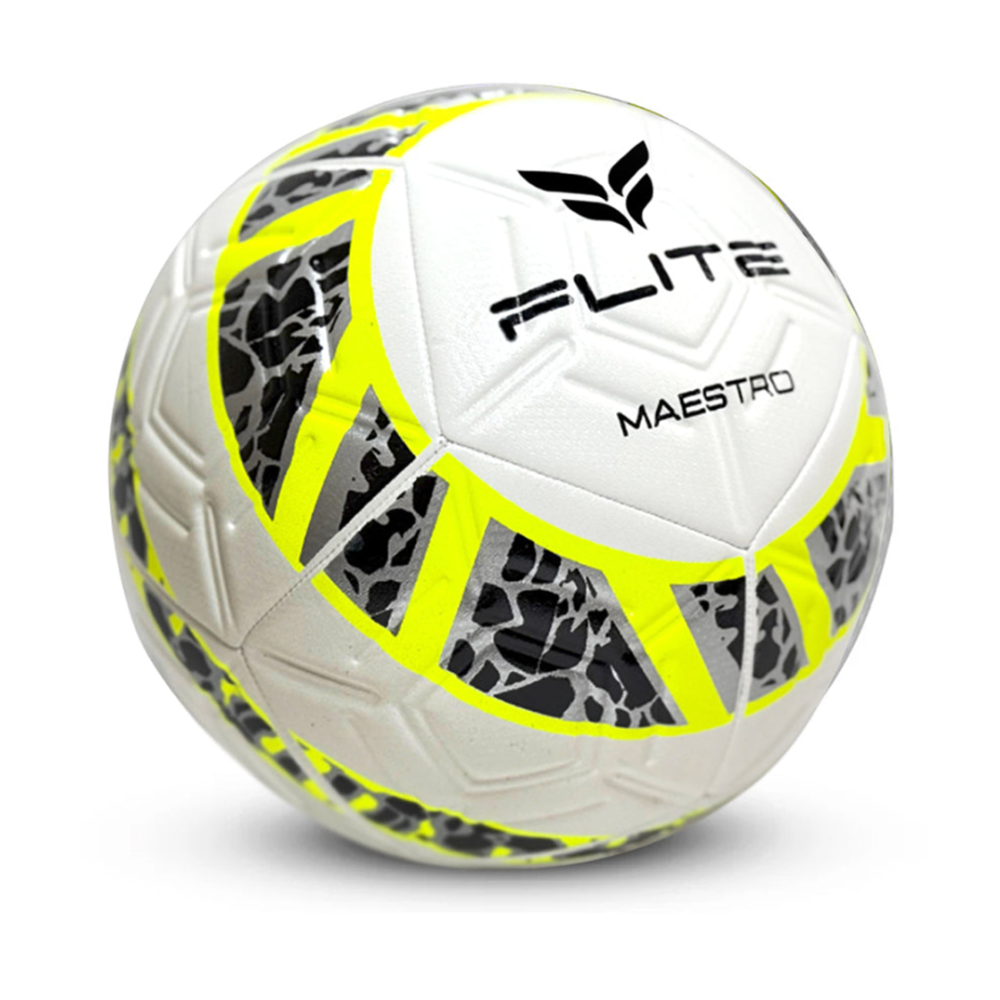MAESTRO2_ab3efc84-f3ad-4269-8dcd-9d7e0c3eef25.png