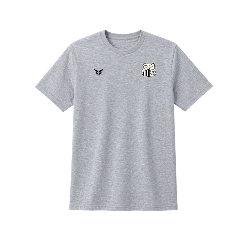 FLITE-CTS-GREY-BLACK-WINGS.png