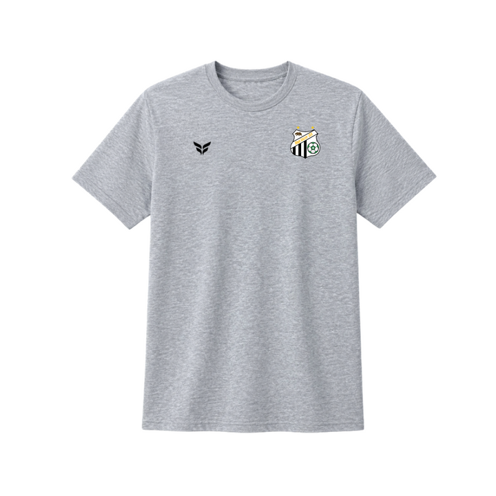FLITE-CTS-GREY-BLACK-WINGS.png