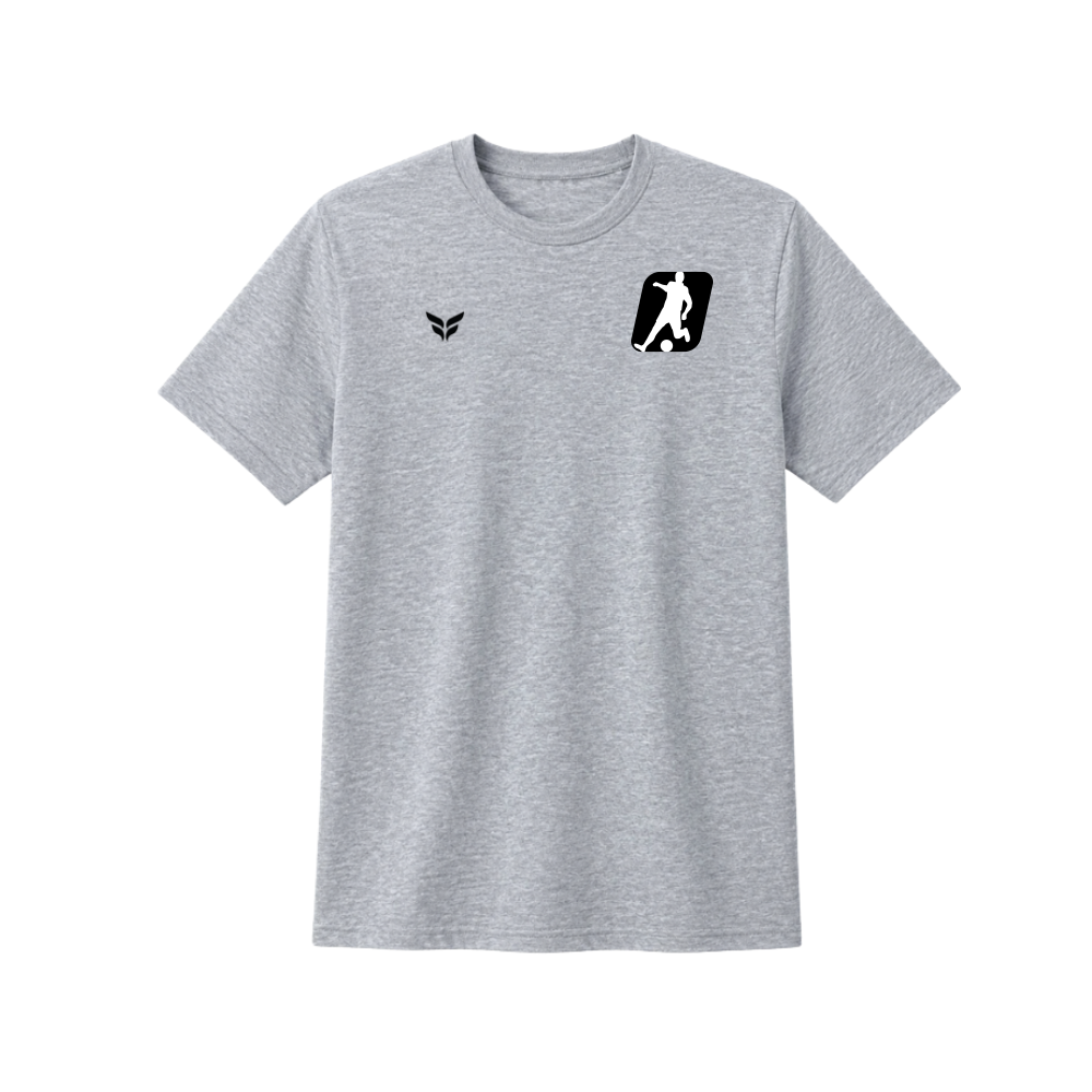 FLITE-CTS-GREY-BLACK-WINGS.png