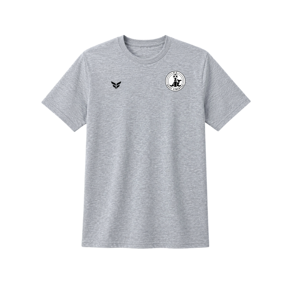 FLITE-CTS-GREY-BLACK-WINGS.png