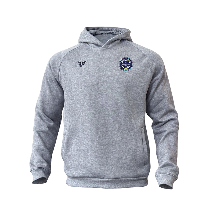 AFCR BRIGHTON COTTON-BLEND HOODIE (GREY)
