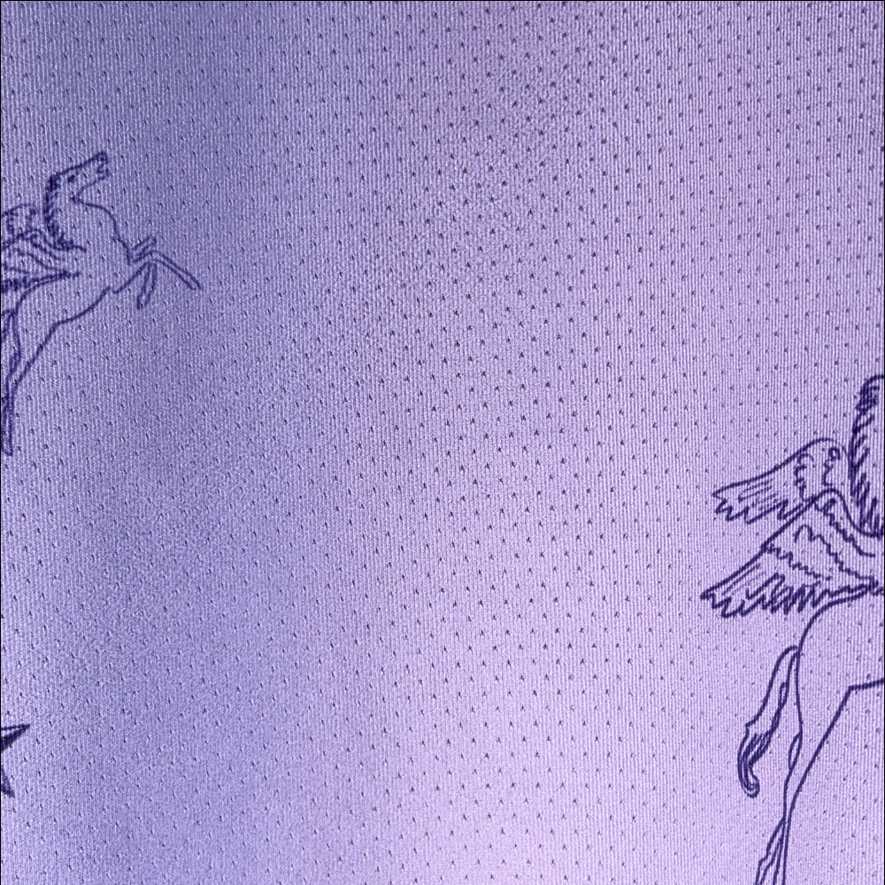 Detalle de la Tela