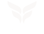 Flite Sports